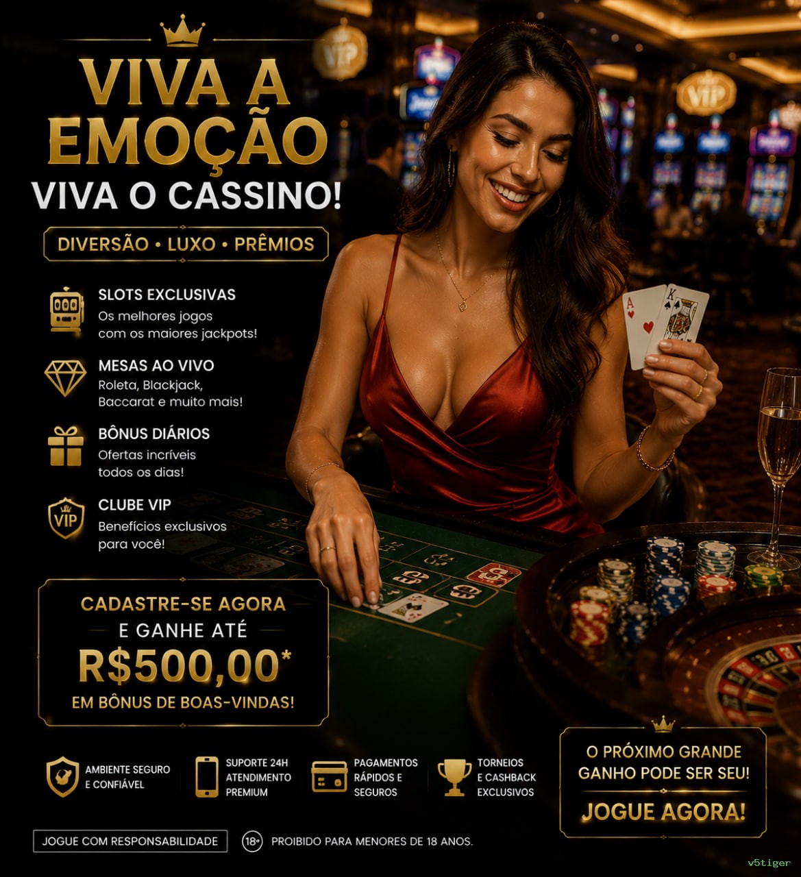 Como instalar o app da v5tiger