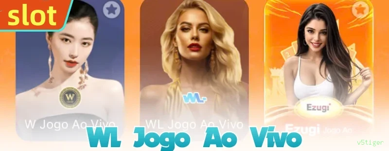 Login seguro na v5tiger